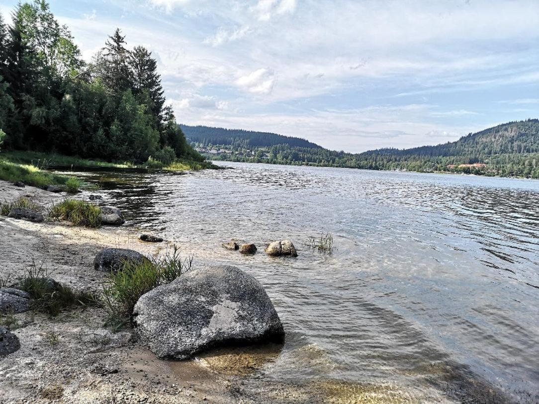 C1 Albmatte-fewo Sauna, Hallenbad Aussenbecken Massagen Nebenan Apartment Menzenschwand