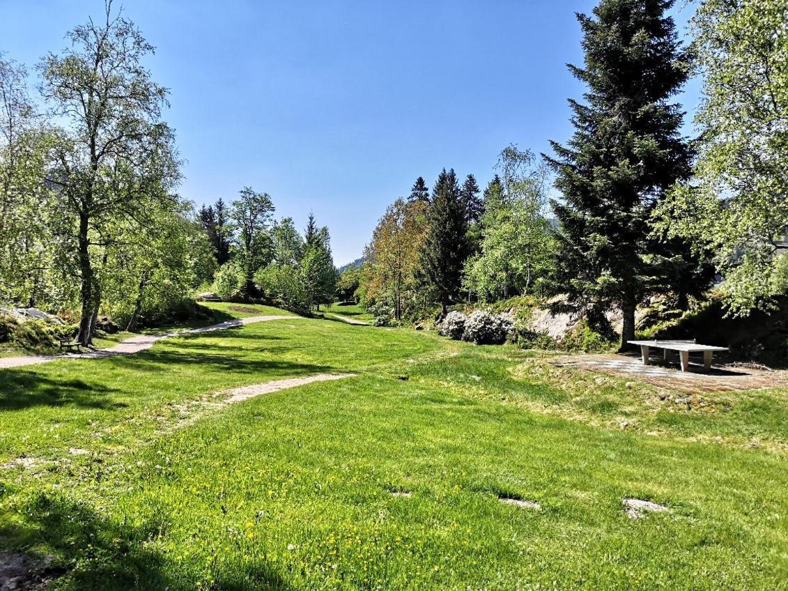 C1 Albmatte-fewo Sauna, Hallenbad Aussenbecken Massagen Nebenan *
