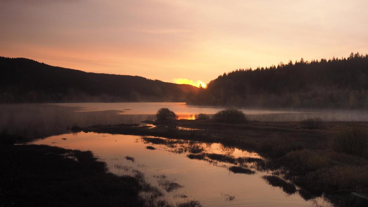 C1 Albmatte-fewo Sauna, Hallenbad Aussenbecken Massagen Nebenan *