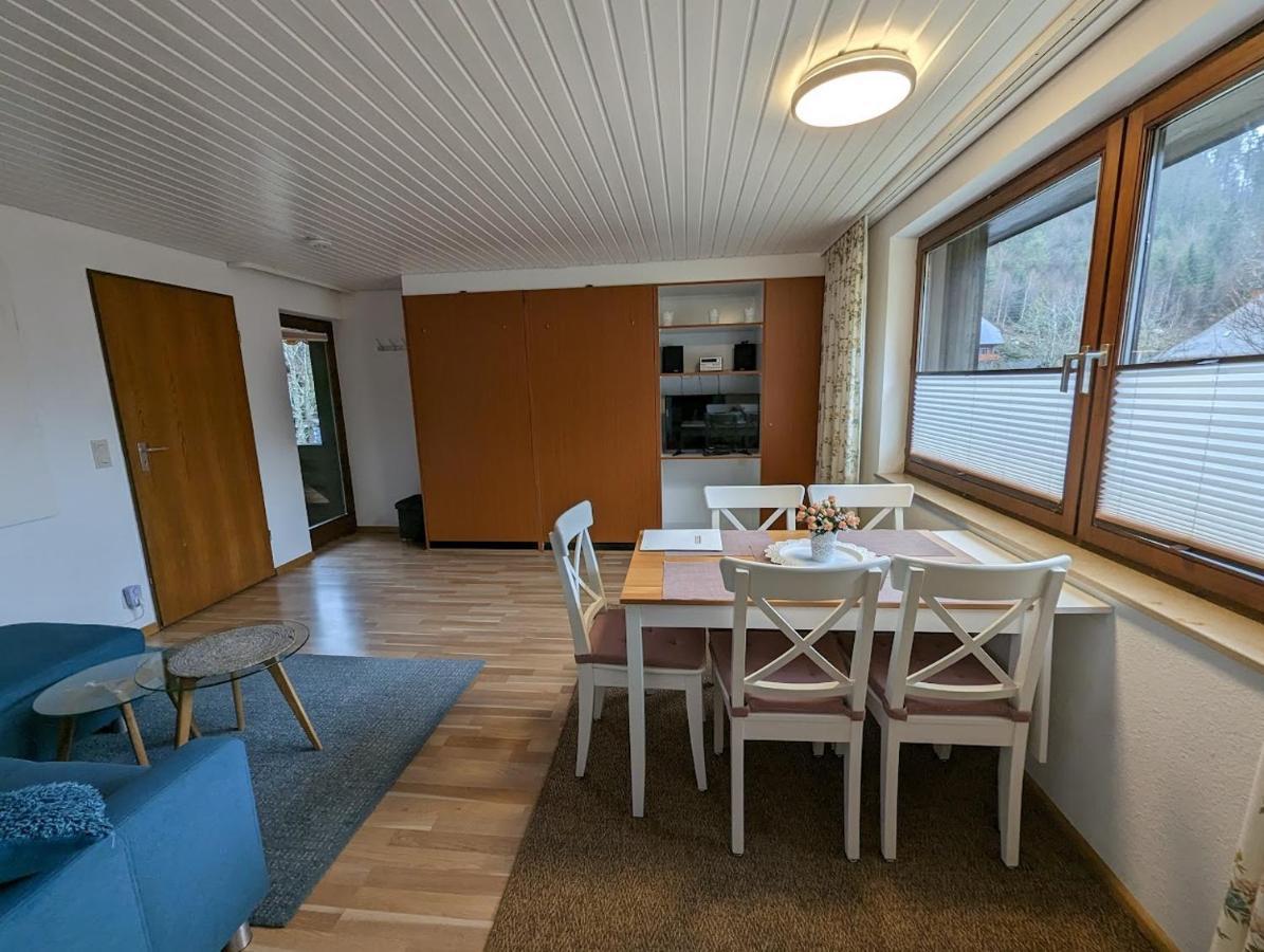 C1 Albmatte-fewo Sauna, Hallenbad Aussenbecken Massagen Nebenan * Menzenschwand