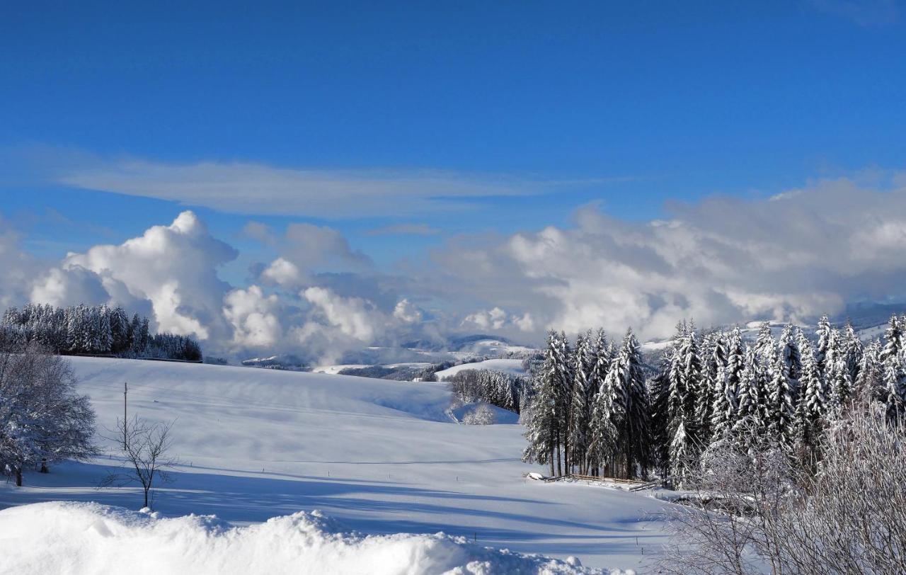 C1 Albmatte-fewo Sauna, Hallenbad Aussenbecken Massagen Nebenan * Menzenschwand-Hinterdorf