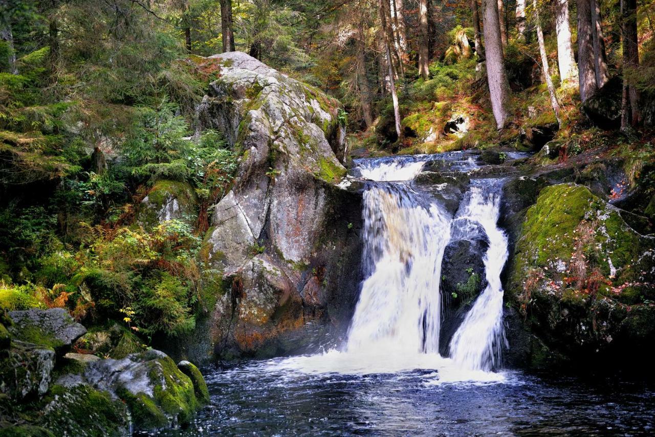 C1 Albmatte-fewo Sauna, Hallenbad Aussenbecken Massagen Nebenan Menzenschwand
