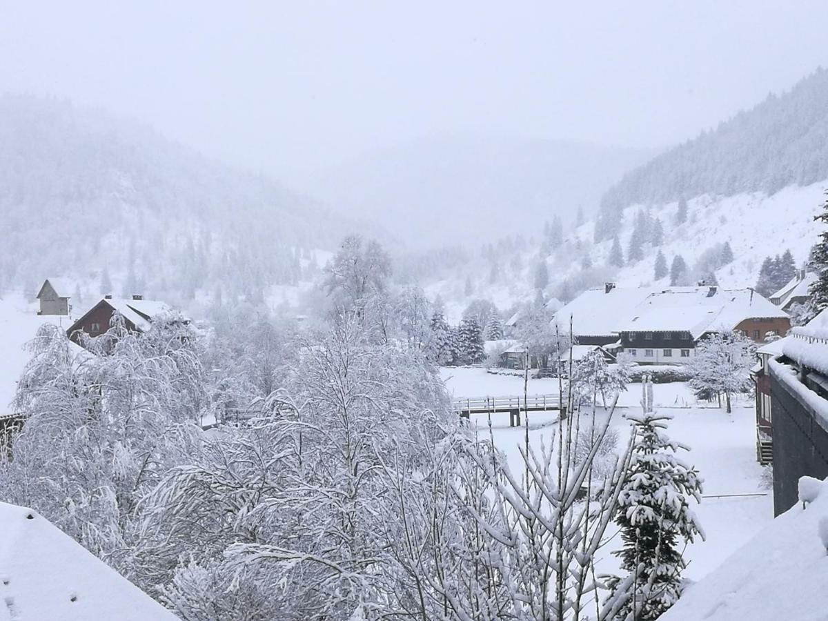 Appartement C1 Albmatte-fewo Sauna, Hallenbad Aussenbecken Massagen Nebenan