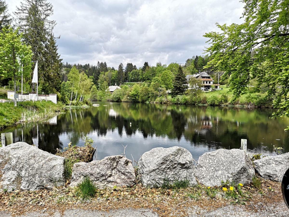 C1 Albmatte-fewo Sauna, Hallenbad Aussenbecken Massagen Nebenan Menzenschwand